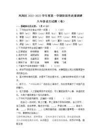 陕西省宝鸡市凤翔区2022-2023学年八年级上学期期中考试语文试题(含答案)