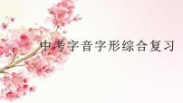 2023年中考语文一轮专题复习：字音字形综合复习课件