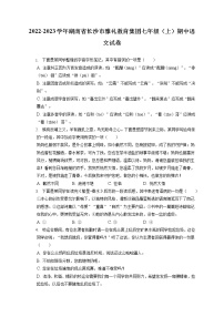 2022-2023学年湖南省长沙市雅礼教育集团七年级（上）期中语文试卷（含答案解析）