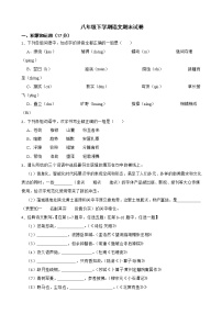 陕西省渭南市2022年八年级下学期语文期末试卷及答案