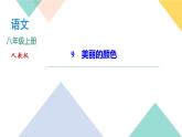 9《美丽的颜色》课件PPT+导学案+练习课件+课文朗读