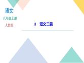11《短文两篇》课件PPT+导学案+练习课件+课文朗读