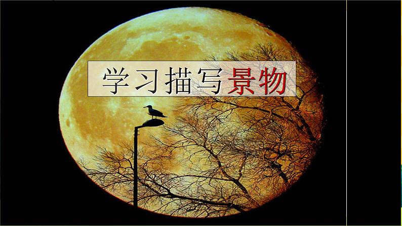 学习景物描写第1页