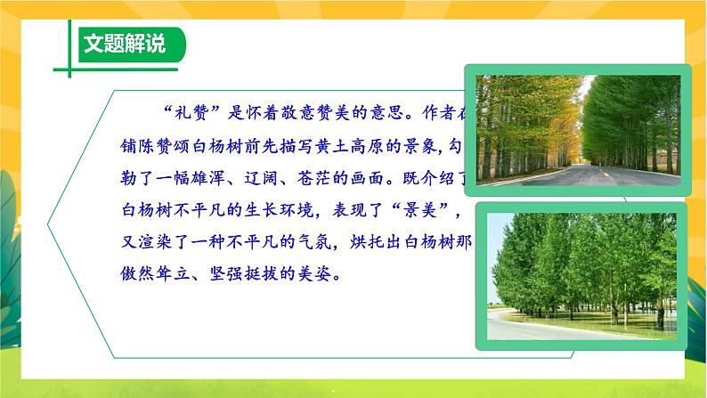 15《白杨礼赞》课件PPT+导学案+练习课件+课文朗读07