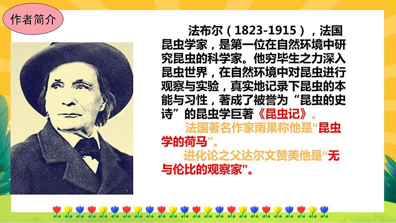 21《蝉》课件PPT+导学案+练习课件+课文朗读03