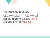 21《蝉》课件PPT+导学案+练习课件+课文朗读