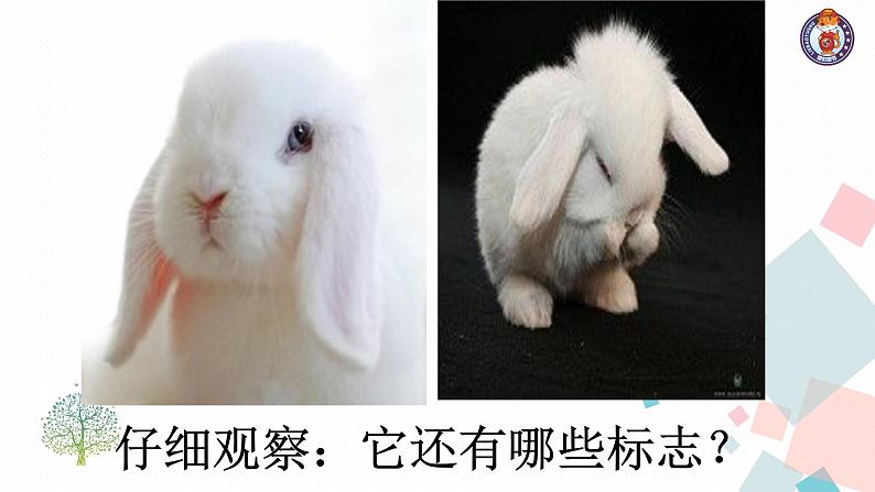 人教版语文八年级上册  第五单元写作（课件PPT+导学案）07