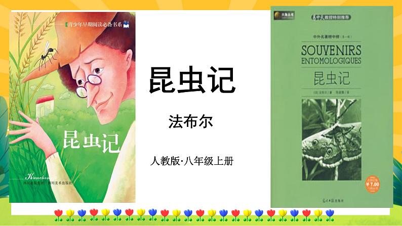 昆虫记第1页