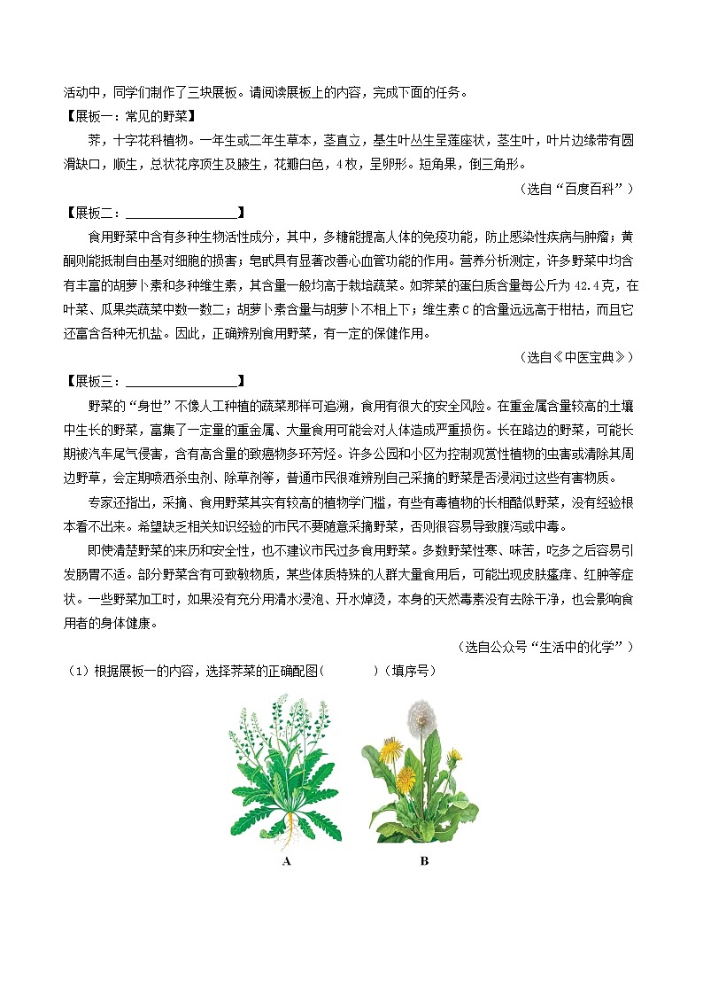 2018-2022年浙江中考语文5年真题1年模拟汇编 专题05 衔接补写拟写（学生卷+教师卷）03