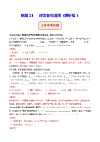 2018-2022年浙江中考语文5年真题1年模拟汇编 专题11 诗文名句活用（学生卷+教师卷）
