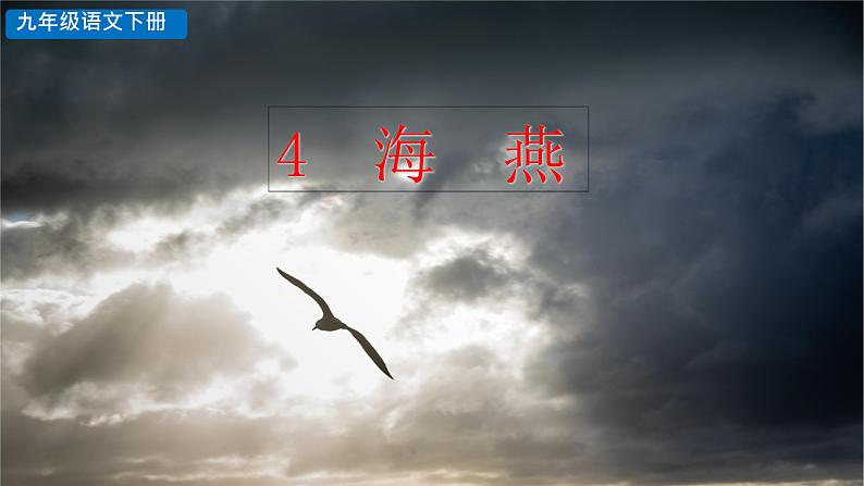 部编版九年级语文下册--第4课《海燕》（课件）03
