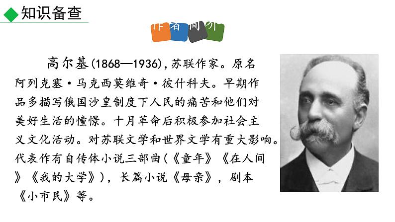 部编版九年级语文下册--第4课《海燕》（课件）05