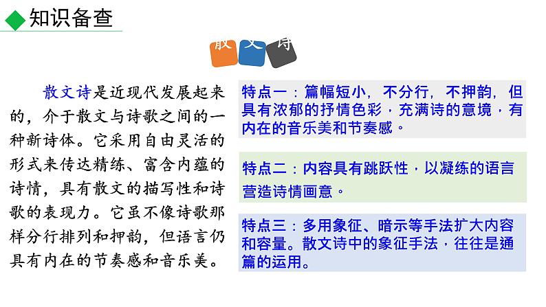 部编版九年级语文下册--第4课《海燕》（课件）07