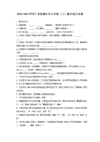 2022-2023学年广东省湛江市八年级（上）期中语文试卷（含答案解析）
