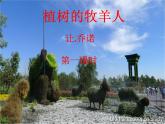 七年级上册 植树的牧羊人 课件