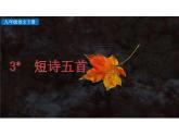 部编版九年级语文下册--3. 短诗五首（课件）