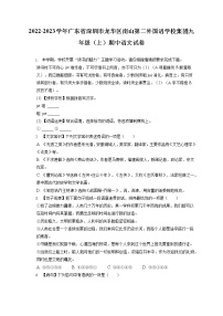 2022-2023学年广东省深圳市龙华区南山第二外国语学校集团九年级（上）期中语文试卷（含答案解析）