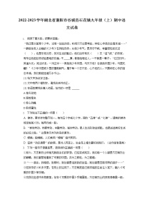 2022-2023学年湖北省襄阳市谷城县石花镇九年级（上）期中语文试卷（含答案解析）