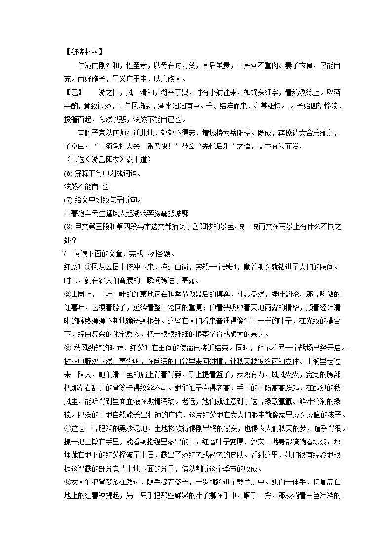 2022-2023学年吉林省吉林市永吉县九年级（上）期中语文试卷（含答案解析）第3页