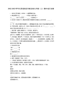 2022-2023学年江苏省南京市联合体九年级（上）期中语文试卷（含答案解析）