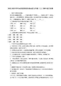 2022-2023学年山东省济南市南山区九年级（上）期中语文试卷（含答案解析）