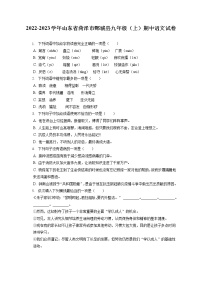 2022-2023学年山东省菏泽市鄄城县九年级（上）期中语文试卷（含答案解析）