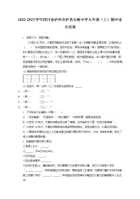2022-2023学年四川省泸州市泸县石桥中学九年级（上）期中语文试卷（含答案解析）