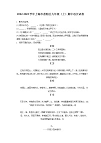 2022-2023学年上海市普陀区九年级（上）期中语文试卷（含答案解析）
