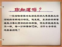 初中语文人教部编版八年级上册第六单元23 《孟子》三章生于忧患，死于安乐备课ppt课件