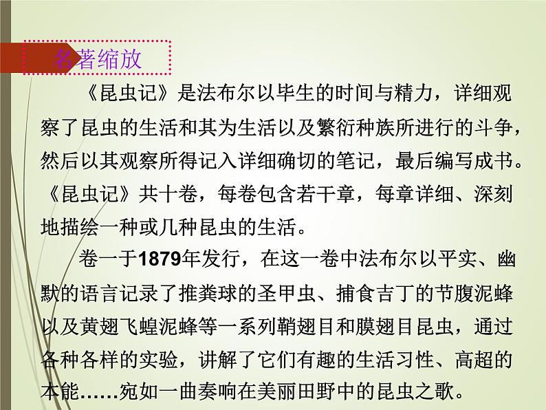 名著阅读《昆虫记》课件第6页