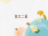 八年级上册  语文16* 散文二篇 课件