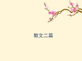 16* 散文二篇 课件