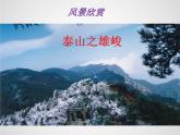 人教部编版语文八年级上册11 短文二篇 课件