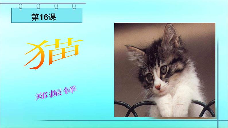 第16课《猫》课件2022—2023学年部编版语文七年级上册01