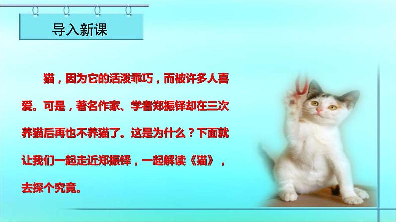 第16课《猫》课件2022—2023学年部编版语文七年级上册03