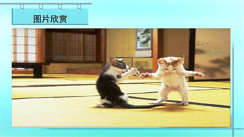 第16课《猫》课件2022—2023学年部编版语文七年级上册04