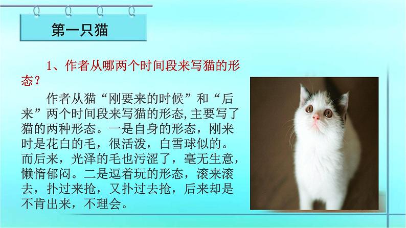 第16课《猫》课件2022—2023学年部编版语文七年级上册07