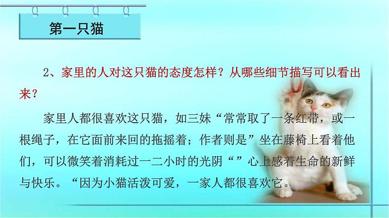 第16课《猫》课件2022—2023学年部编版语文七年级上册08