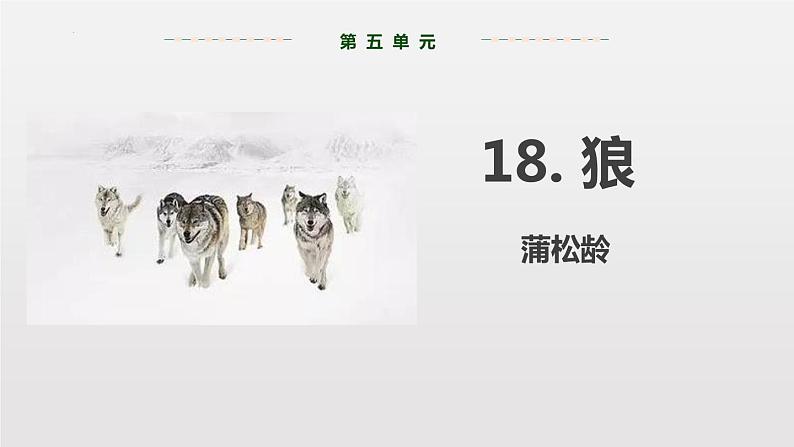 第18课《狼》课件  2022-2023学年部编版语文七年级上册第1页