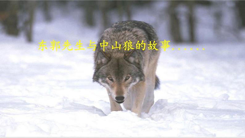 第18课《狼》课件  2022-2023学年部编版语文七年级上册第2页