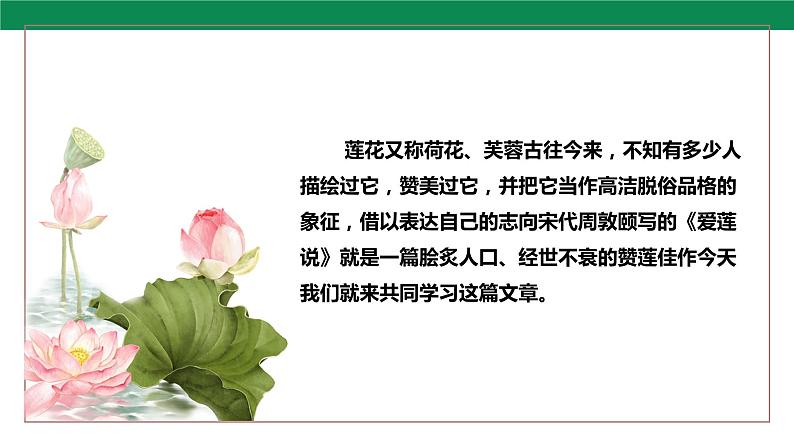 17 爱莲说 课件第7页