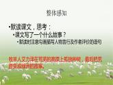 人教统编版语文第13课《植树的牧羊人》课件