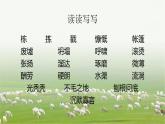 人教统编版语文第13课《植树的牧羊人》课件