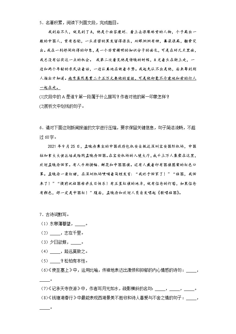 2022-2023学年部编版语文八年级上册期中复习综合练习02