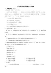 湖北省枣阳市2022年九年级上学期语文期末考试试卷（附答案）