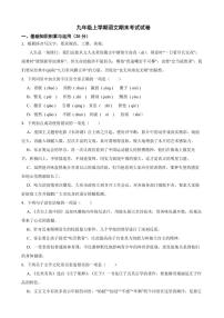 黑龙江省大庆市2022年九年级上学期语文期末考试试卷（附解析）