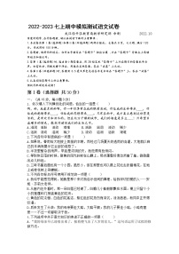 湖北省武汉市东湖新技术开发区2022-2023学年七年级上学期期中模拟测试语文试卷(含答案)