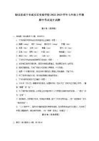 湖北省咸宁市咸安区实验学校2022-2023学年七年级上学期期中考试语文试题(含答案)