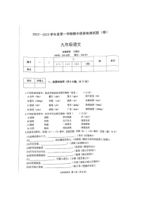 陕西省宝鸡市陈仓区2022-2023学年九年级上学期期中质量检测语文试题(含答案)