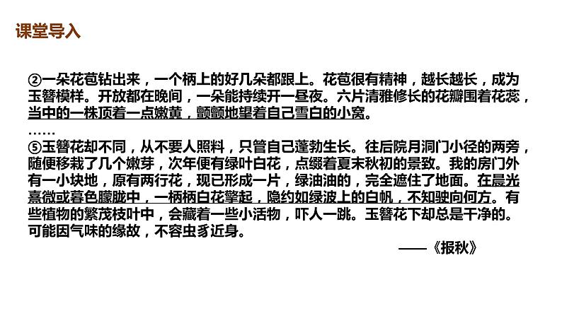 第18课 紫藤萝瀑布  第2课时 课件02